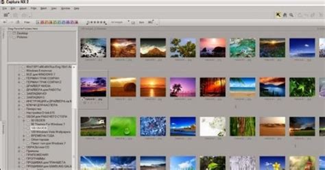 Image result for Nikon Picture Project Software