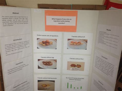 Image result for 3rd Science Fair Project