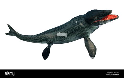 Extinct Bricks Mosasaurus-এর ছবি ফলাফল