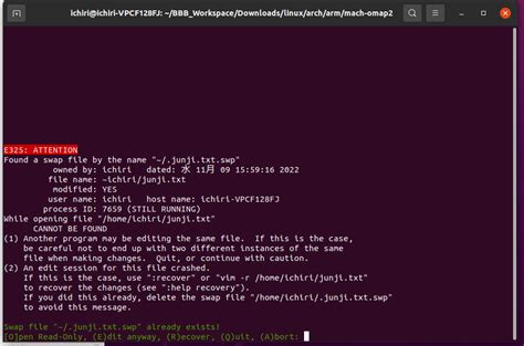 Vim Command Mode に対する画像結果