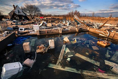 Image result for Sandy Cheeks in a Bubble