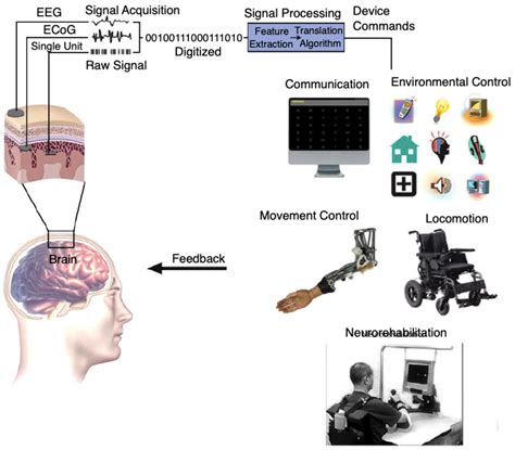 Brain Computer Interface Journal에 대한 이미지 결과