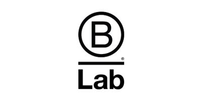 Image result for Vision of B Lab