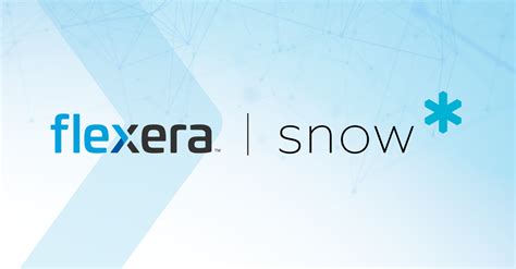 Snow Asset Management Support Service కోసం చిత్ర ఫలితం