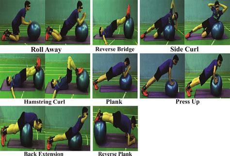 Image result for Swiss Ball Butterfly Exercise