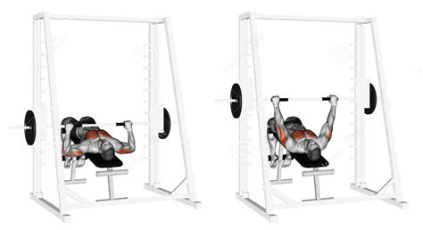 Afbeeldingsresultaten voor Decline Chest Press Machine