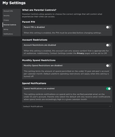 Image result for Roblox ACC Settings
