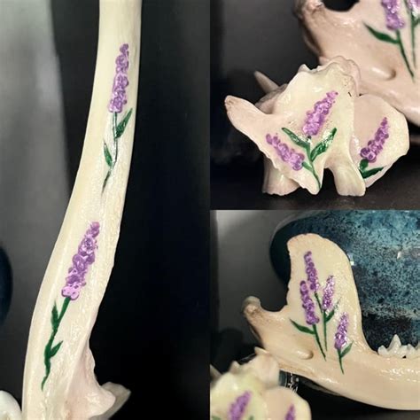 Image result for Process Bone