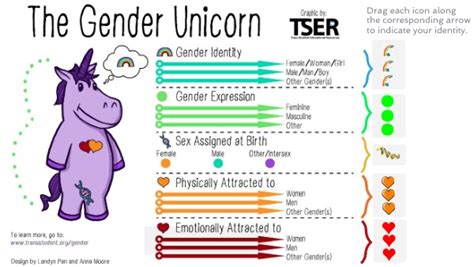 Image result for Assistant Principle On Gender Unicorn