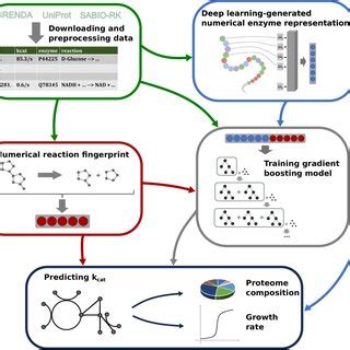 Machine Learning Enzyme Prediction に対する画像結果