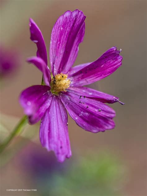 Toradh íomhá ar Camera Sensor Dynamic Range