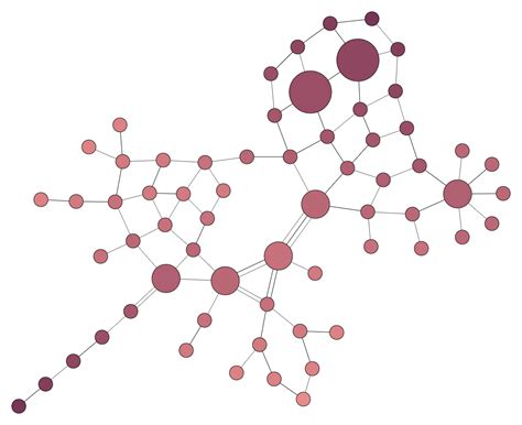 Image result for Force Directed Graph Visualization