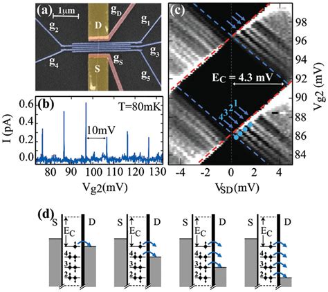 Image result for Electron Microscope Images Color