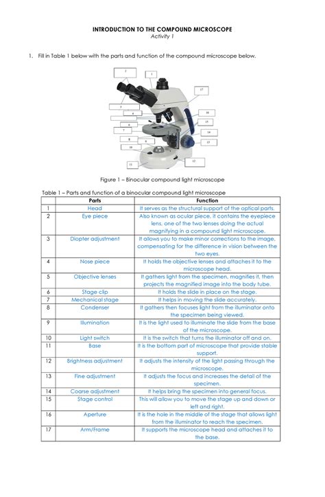 Afbeeldingsresultaten voor Microscope Exam Activity