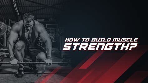 Building Muscle & Strength に対する画像結果