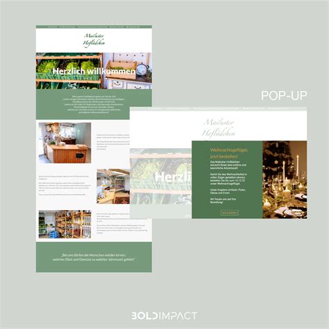 Image result for Overview Program Website Page