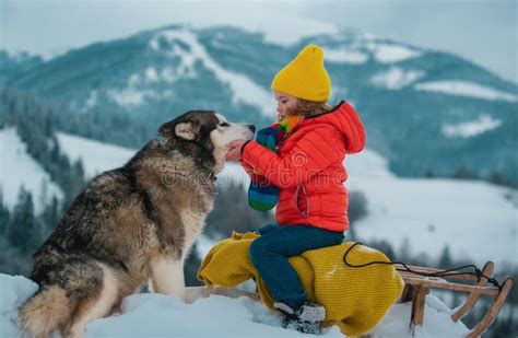 Afbeeldingsresultaten voor All About Wolves for Kids