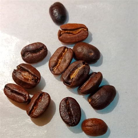 Image result for Java Coffee Beans