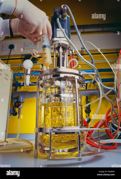 Image result for E. Coli Fermentor