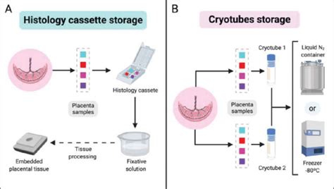 Sample Storage に対する画像結果