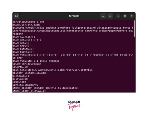 Image result for Linux Terminal Set Environment Variable