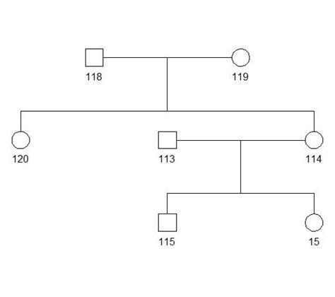 Image result for Python Family Tree Generator