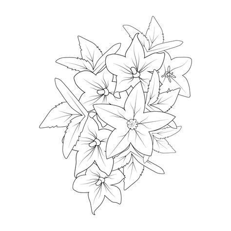 Toradh íomhá ar Bell Flower Drawing