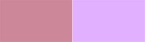 Image result for Angular Puce