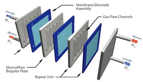 Image result for Fuel Cell Components