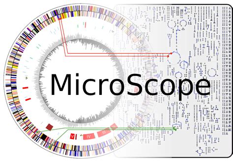Image result for Microscope Platform