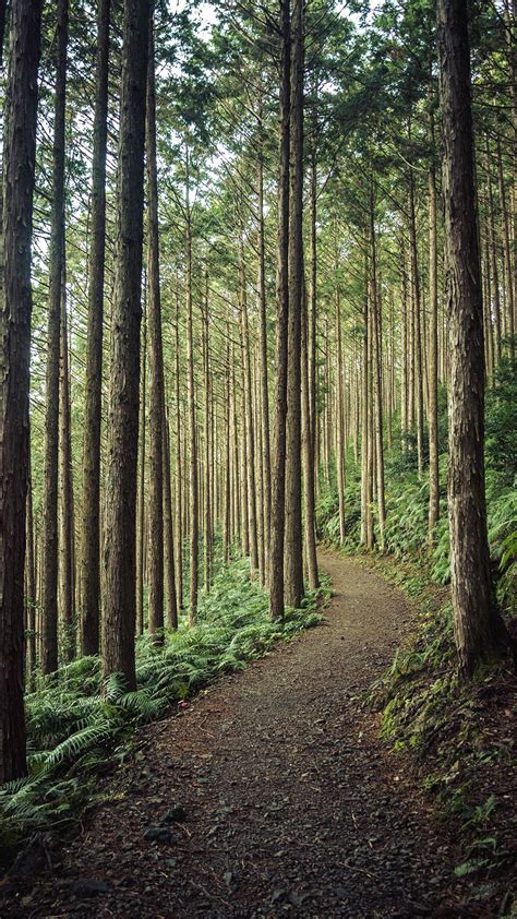 Image result for Mysterious Things to Draw Easy