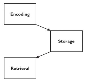Toradh íomhá ar Encoding Psychology Definition