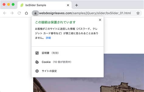 SSL Browser に対する画像結果
