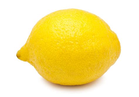 Image result for Lemon Slice in Dim Light