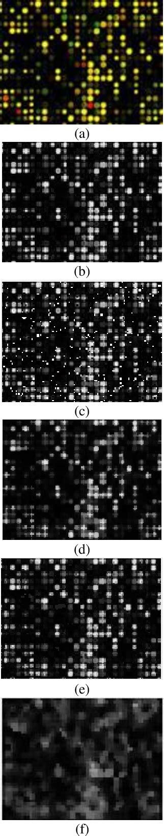 Noise Filtering of Microarray Data に対する画像結果