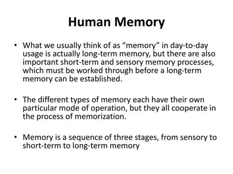 Example of Memory in Huma に対する画像結果