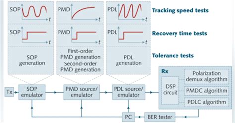 Fiber Randomization Test-Related に対する画像結果