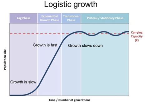 Image result for Logistic Growth Example Graph with 5 Phases