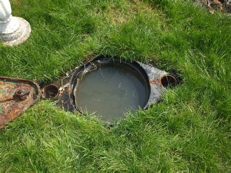 Image result for Septic Tank Issues
