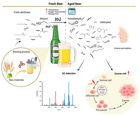 Image result for Enol