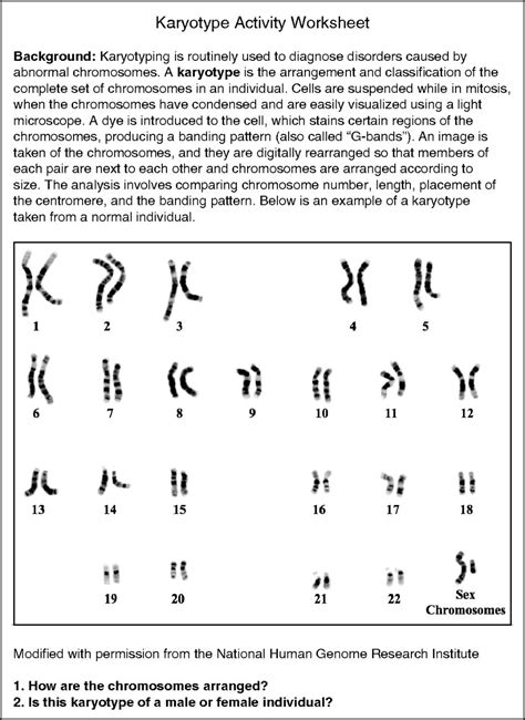 Toradh íomhá ar Karyotype Worksheet Answer Key