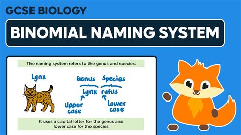 Afbeeldingsresultaten voor Binomial System Examples
