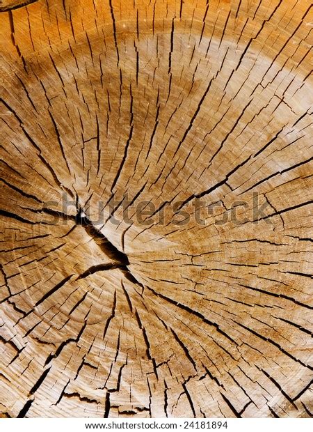 Résultat d’images pour Internal Tree Structure