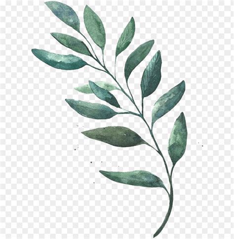Image result for Simple Leaf Drawing Transparent Background