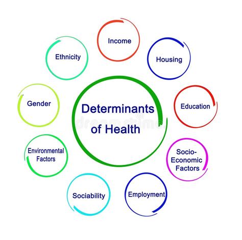 Toradh íomhá ar Determinants of Health