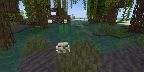 Image result for Swamp Bio Minecraft