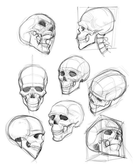 Afbeeldingsresultaten voor Alien Skull Drawing Reference
