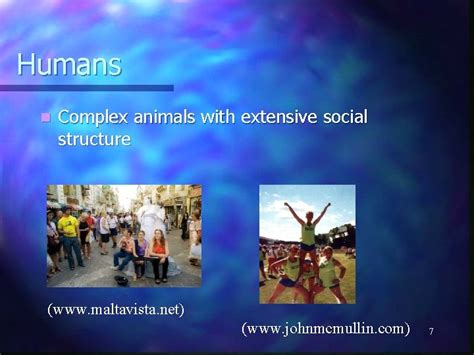 Image result for Evolution of Complex System