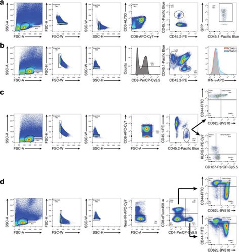 Image result for Sequential Gating Flow Cytometry