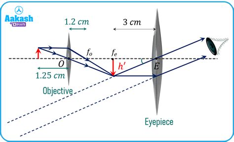 Image result for Microscope Lens Magnification